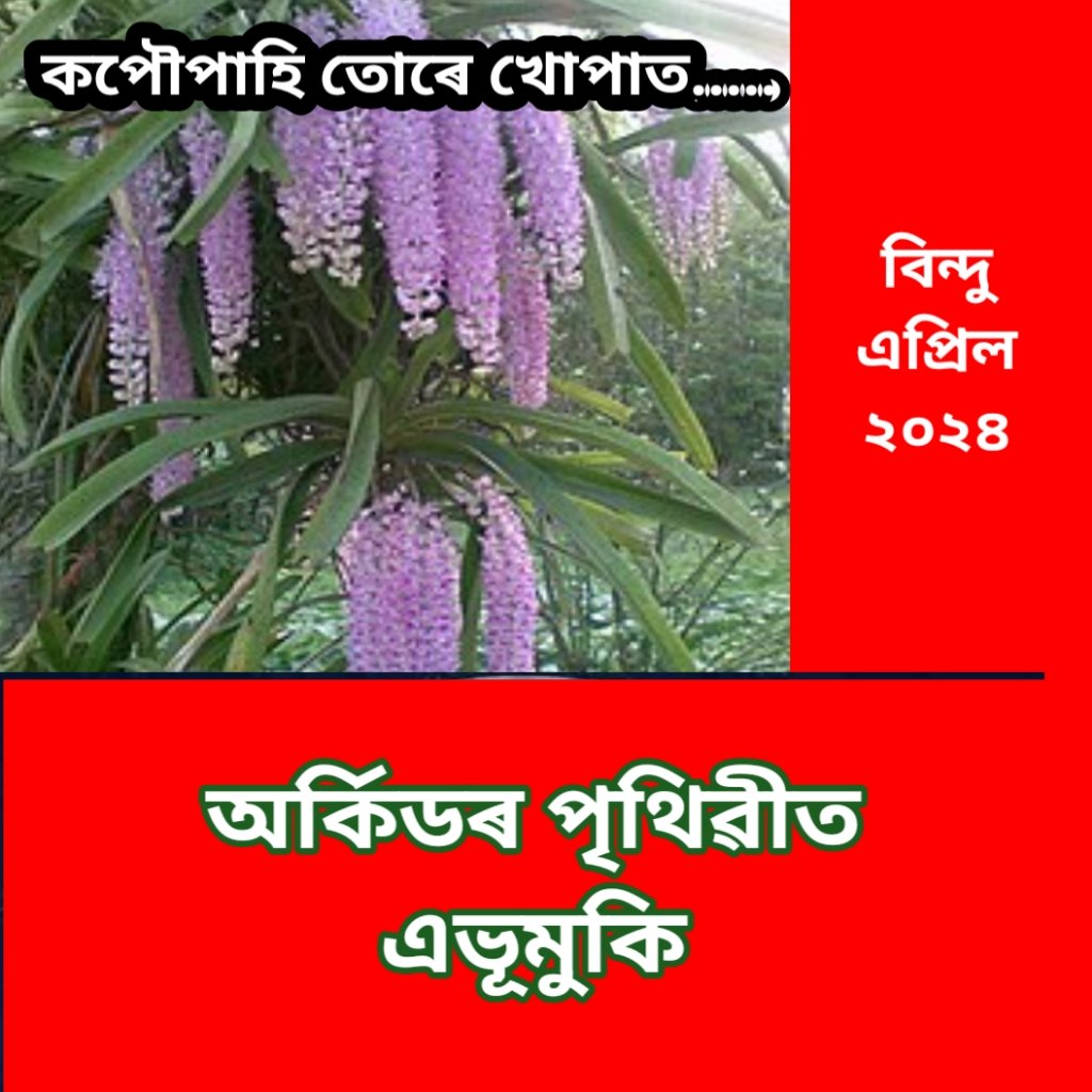 অৰ্কিডৰ পৃথিৱীত এভূমুকি