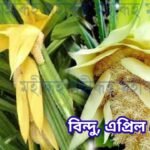 কেতেকী ফুল